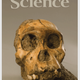 The April 2010 cover of Science, featuring the skull of A. sediba.